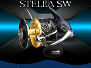 Shimano STELLA SW 10000HG