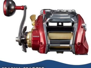 Daiwa  Seaborg 800 MJ Small