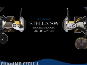Shimano STELLA SW 8000 PG